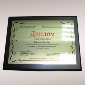 Дипломы, грамоты, благодарности